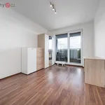 Rent 2 bedroom apartment of 45 m² in Praha