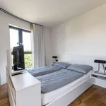 Miete 1 Schlafzimmer wohnung von 38 m² in berlin