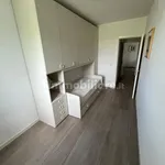 Rent 3 bedroom apartment of 80 m² in Venice