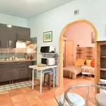 Rent 1 bedroom apartment of 48 m² in rome