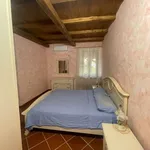 Rent 1 bedroom apartment of 20 m² in Roma