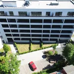 Rent 4 bedroom apartment of 117 m² in Leipzig