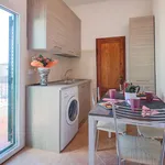 Rent 2 bedroom apartment of 50 m² in Florence