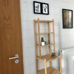 Rent 1 bedroom apartment of 68 m² in Dresden