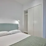 Rent 1 bedroom apartment in madrid