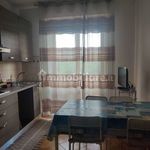 Rent 3 bedroom apartment of 70 m² in Pisa