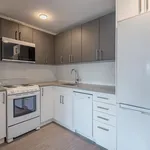  appartement avec 1 chambre(s) en location à Montreal