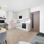 Rent 1 bedroom apartment in Hodonín