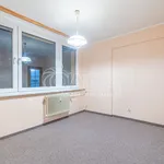 Rent 2 bedroom apartment in Mělník