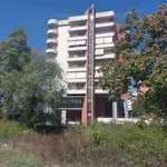 Rent 3 bedroom apartment of 120 m² in Frosinone