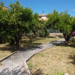 Affittasi Villa, AFFITTO ESTIVO - Annunci Cerveteri (Roma) - Rif.560357