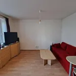 Rent 1 bedroom apartment of 35 m² in Capital City of Prague