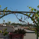 Rent 1 bedroom apartment of 160 m² in rome