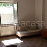 Rent 2 bedroom apartment of 60 m² in Frosinone