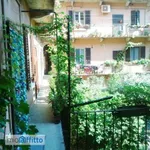 Rent 2 bedroom apartment of 50 m² in Milan