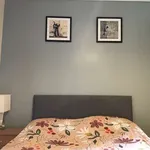 Rent 1 bedroom apartment in dublin