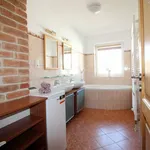 Rent 1 bedroom apartment in České Budějovice