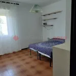 Rent 4 bedroom apartment of 80 m² in Siena