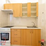 Rent 1 bedroom apartment of 31 m² in Capital City of Prague