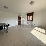 Rent 3 bedroom apartment of 105 m² in Vicenza