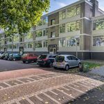 house in Thorbeckestraat Netherlands