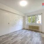 Rent 1 bedroom apartment in Ústí nad Labem