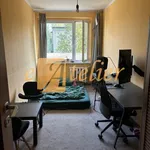 Rent 3 bedroom apartment of 61 m² in Katowice