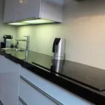 Rent 2 bedroom apartment of 97 m² in Amsterdam