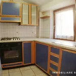 Rent 2 bedroom apartment of 50 m² in Macerata