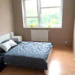 Rent 1 bedroom apartment in Praha - západ