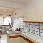 Rent 4 bedroom apartment in Coimbra