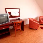 Rent 1 bedroom apartment in Prague