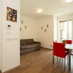 Rent 1 bedroom apartment in milan