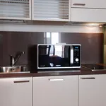 Rent 1 bedroom apartment in Bologna