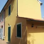 Rent 2 bedroom house of 65 m² in Pisa