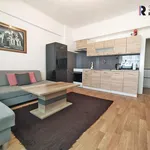 Rent 2 bedroom apartment of 47 m² in Prague