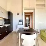 Rent 2 bedroom apartment of 50 m² in Magliolo