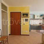 Rent 2 bedroom apartment of 55 m² in Moneglia