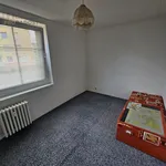 Rent 4 bedroom apartment in Teplice