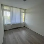Rent 3 bedroom apartment of 101 m² in Leiden