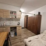 Rent 1 bedroom house in Brno