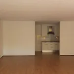 Rent 2 bedroom apartment of 105 m² in Maastricht