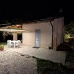 Rent 3 bedroom house of 47 m² in Peccioli