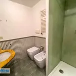 Rent 3 bedroom apartment of 99 m² in Turin