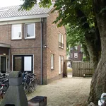 Rent 1 bedroom apartment of 12 m² in Den Bosch