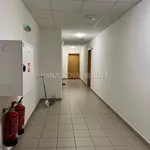 Pronajměte si 2 ložnic/e byt o rozloze 45 m² v České Budějovice