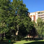 Rent 1 bedroom apartment of 15 m² in Toulouse