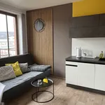 Rent 1 bedroom apartment of 35 m² in Brno