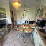 Rent 2 bedroom apartment of 50 m² in Nettuno