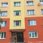 Rent 3 bedroom apartment of 68 m² in Plzeň